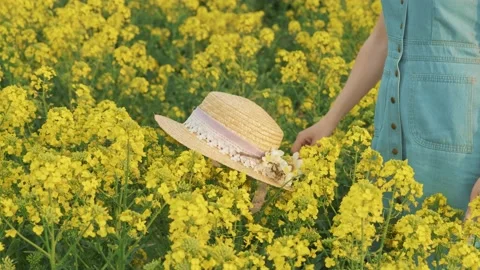 Straw beach sun hat lies on yellow flowers rape. Beautiful woman posing as model Stock Footage 134573771