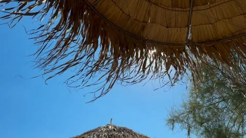 Straw Beach Umbrella Against Blue Sky in Halkidiki Greece Stock Footage 338002162