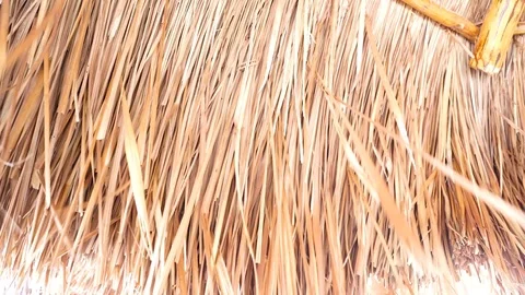 Straw beach umbrella 動画素材 120661090