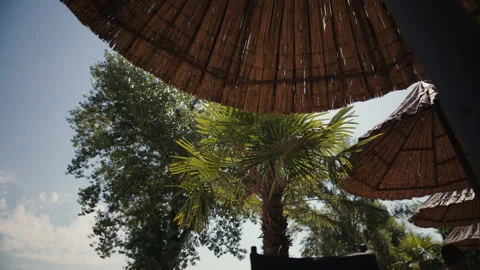Straw Beach Umbrellas And Palm Tree At Jarun 스톡 동영상 337668845