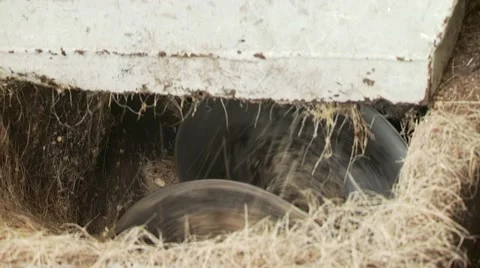 Straw being grinded in machine Stock Footage 55573103