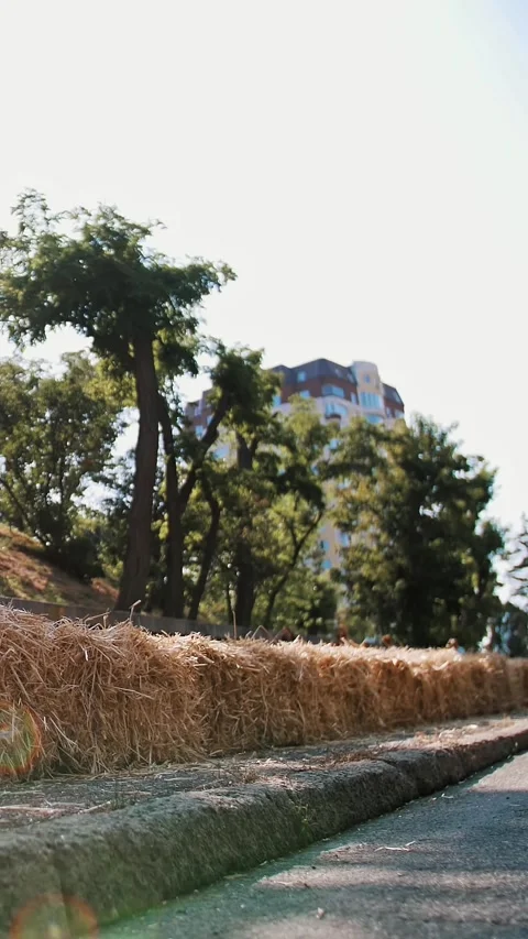 Straw briquettes. close-up. Large straw briquettes are placed along the road Stock Footage 319480848
