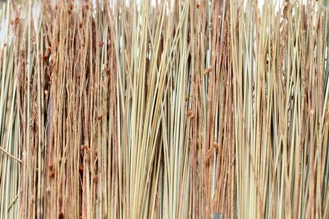 A straw broom as a close up Stock Photos