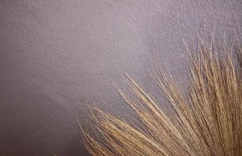 Straw broom isolated on gray background Foto stock