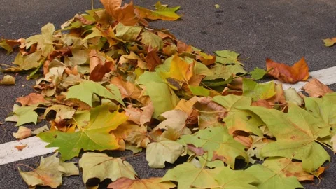 Straw Broom Sweeping Fallen Autumn Leaves on Asphalt Road Видео 336521758