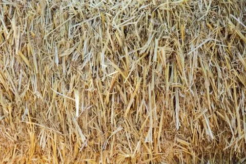 Straw close up as background a macro Stock-Fotos