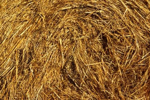 Straw close up Stock Photos