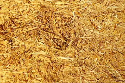 Straw close-up plain frame for background Фото