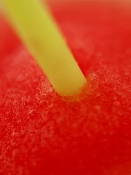 Straw closeup 스톡 사진