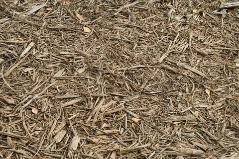 The straw coating. Close up of straw background texture. Stock Photos