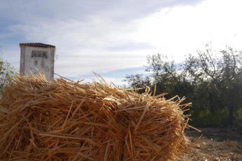 Straw in a country Foto stock