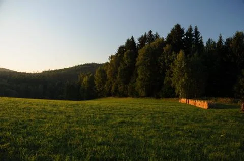 Straw at dawn Stock Photos