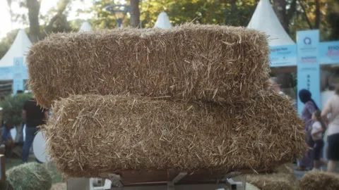Straw, dry straw texture background, vintage style at farm. Vidéo 264699334