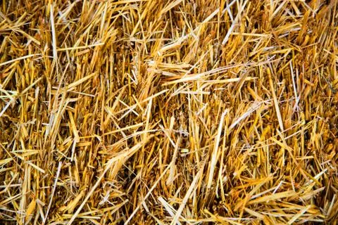 Straw, dry straw texture background Stock Photos