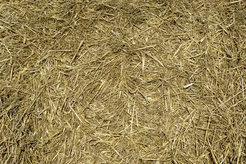 Straw, dry straw texture background, vintage style for design. Stock Photos