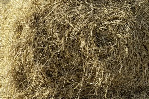 Straw, dry straw texture background, vintage style for design. Stock Photos