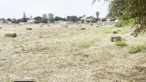 Straw field Stock Footage 279422257
