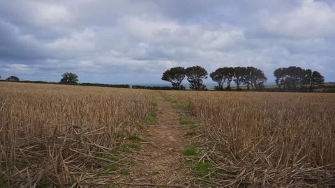 Straw Field with Footpath part 2 Stock Footage 139006041