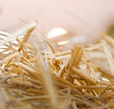 Straw in the field Stock Photos