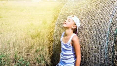 Straw in the field Stock Photos