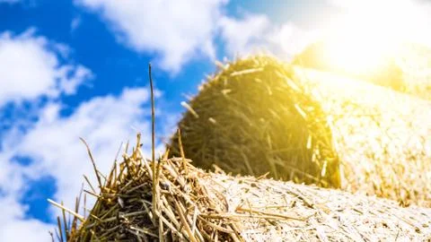 Straw in the field Stock Photos