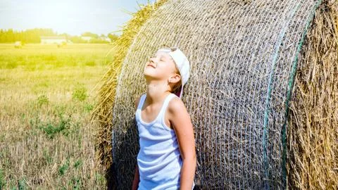 Straw in the field Stock Photos