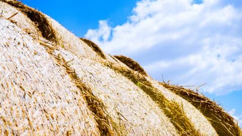 Straw in the field Stock Photos