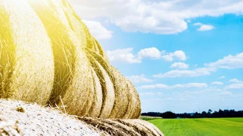 Straw in the field Stock Photos