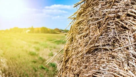 Straw in the field Stock Photos