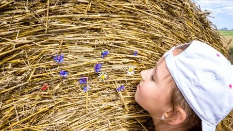 Straw in the field Stock Photos