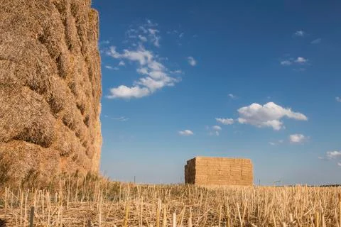 Straw field with stack after late summer harvest Stock Photos