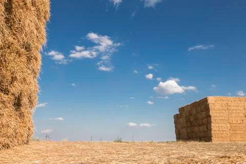 Straw field with stack after late summer harvest Foto stock