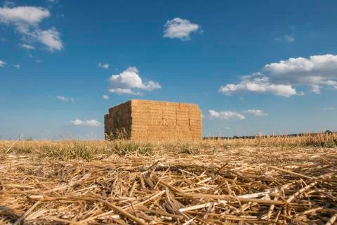 Straw field with stack after late summer harvest Stock Photos