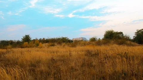 Straw Fields Blue Sky Clouds Dolly Stock Footage 96303468