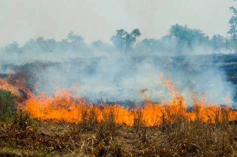 Straw fire Fotos de archivo