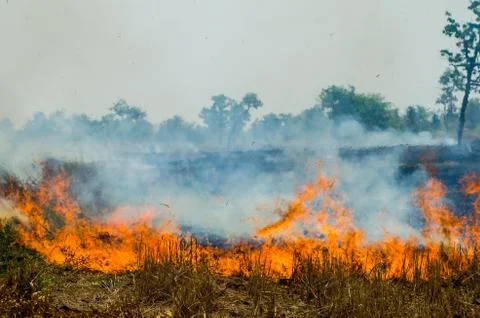 Straw fire Fotos de archivo
