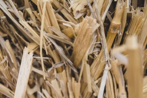 Straw floor macro 1 Stock Photos