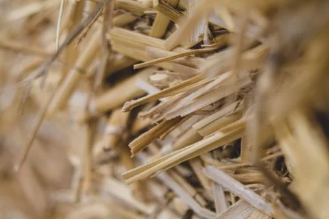 Straw floor macro 2 Stock Photos