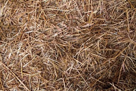 Straw floor texture 1 Stock Photos
