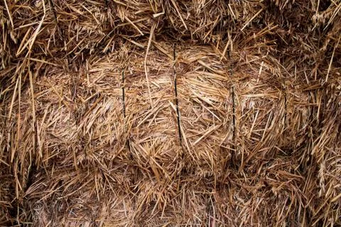 Straw floor texture 2 Stock Photos