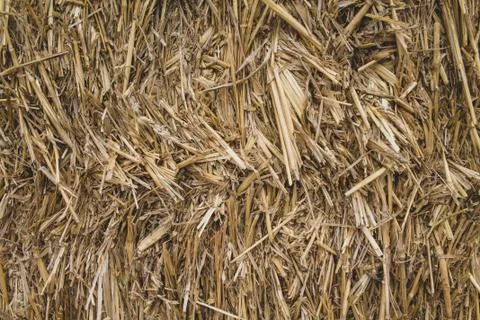 Straw floor texture 3 Fotos de archivo