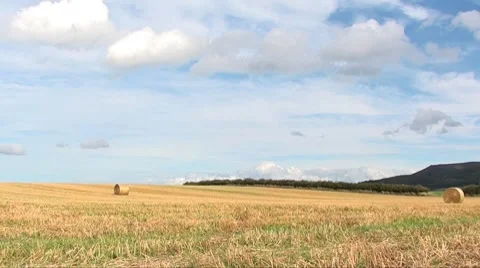 Straw Stock Footage 8663380