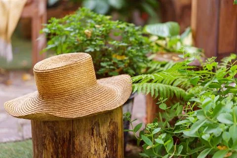 Straw garden hat on tree stump with blurred plants and cozy green garden in.. Stock Photos