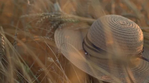 A straw han lies on th wheat at sunset. concept of harvesting, end of summer Stock Footage 80006780