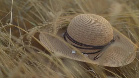 A straw han lies on th wheat at sunset. concept of harvesting, end of summer Stock Footage 80007288