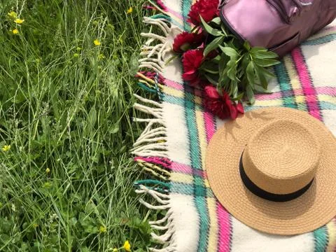 Straw hat and pink backpack full of red peonies on the checkered blanket  Stock Photos