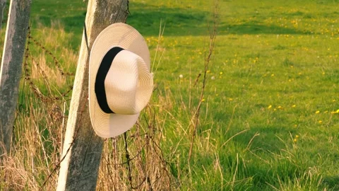 Straw hat hanging in summer meadow Stock Footage 307832272