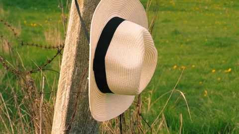 Straw hat hanging in summer meadow Stock Footage 310941726