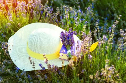 Straw hat in Lavanda fields in Provence near Valensole. France Stock Photos