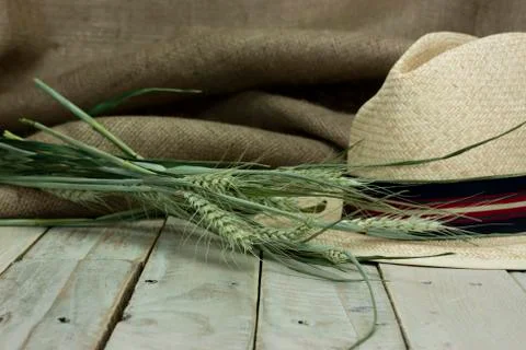 Straw hat on rustic surface Stock Photos